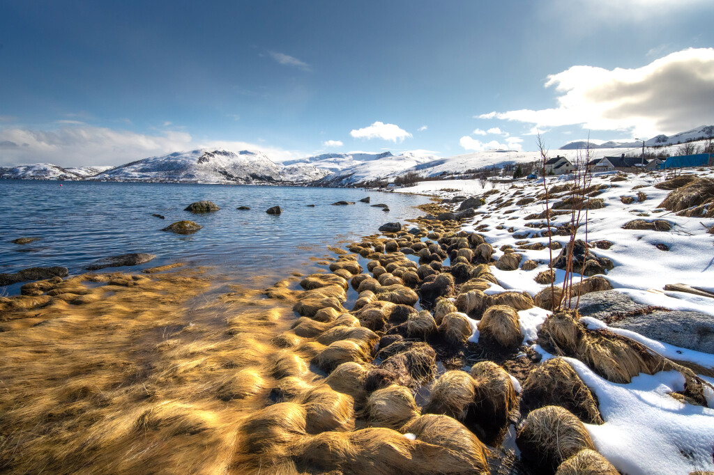 the shore of the Norwegian sea . District of Tromso