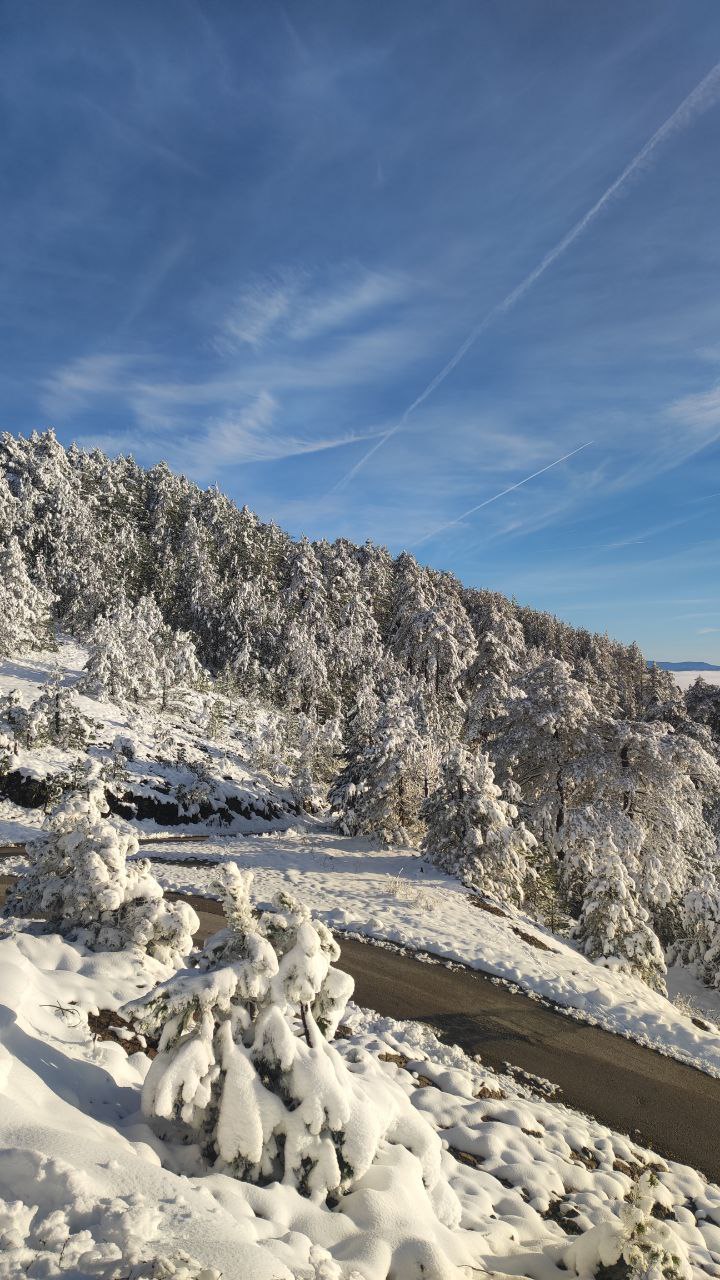 photo_2025-12-03_10-39-37