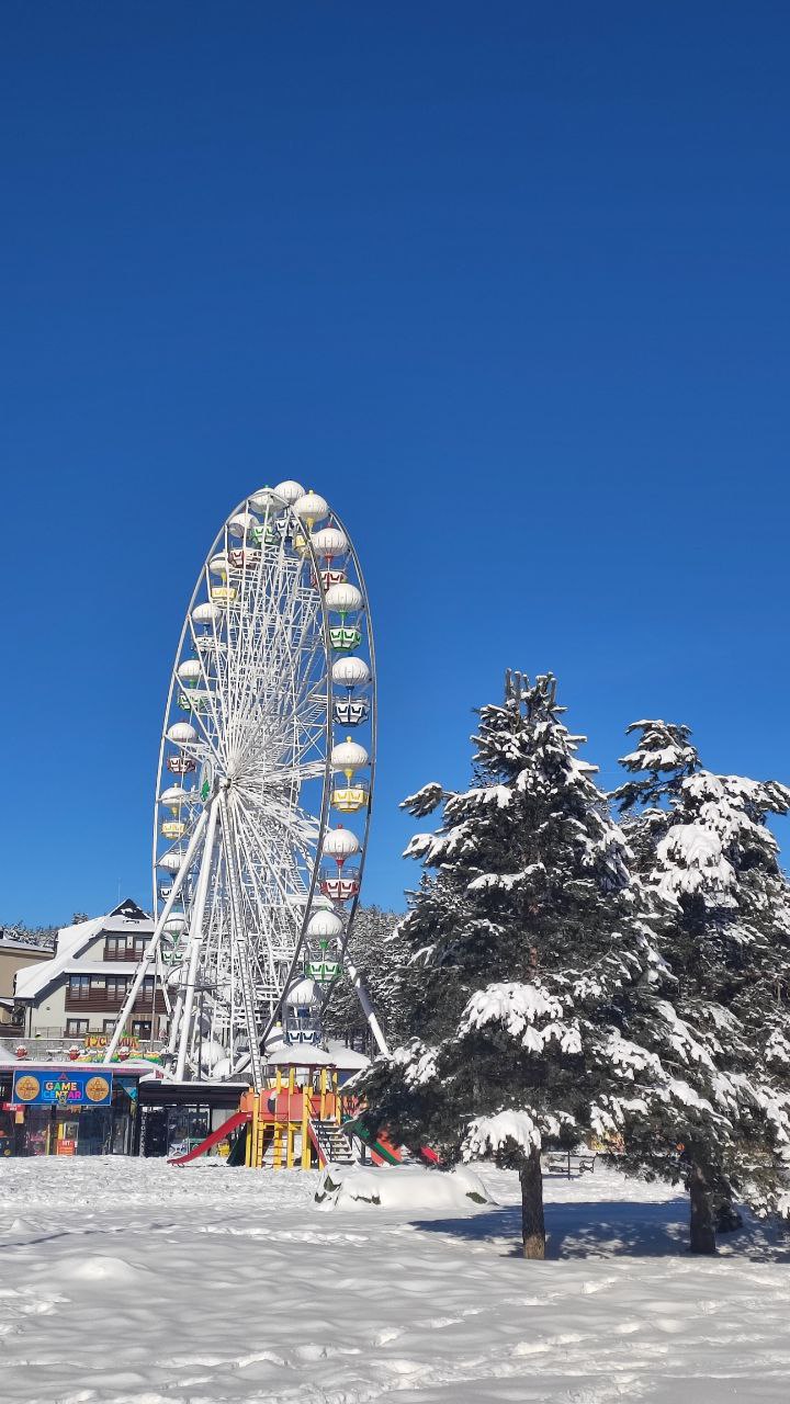 photo_2026-01-14_13-37-31