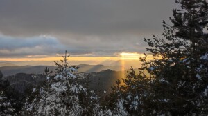 photo_2026-01-14_13-37-32 (2)