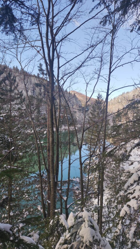 photo_2026-02-27_14-42-06